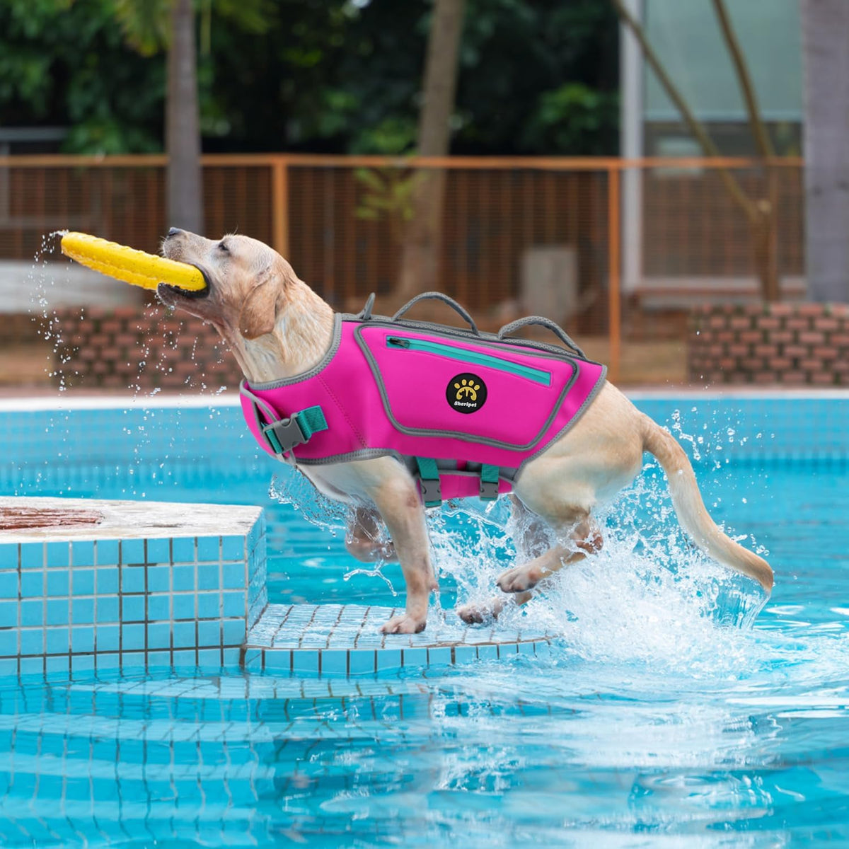 Dog Life Jacket, Good Visibility Pet Swimming Vest for Boating L – Essentials for Dogs - RosePink / Large - image 2