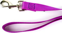 Country Brook Petz, Everyday Nylon Dog Leash - Bright Purple / 6 Foot X 1 Inch Wide (Pack of 1) - image 4