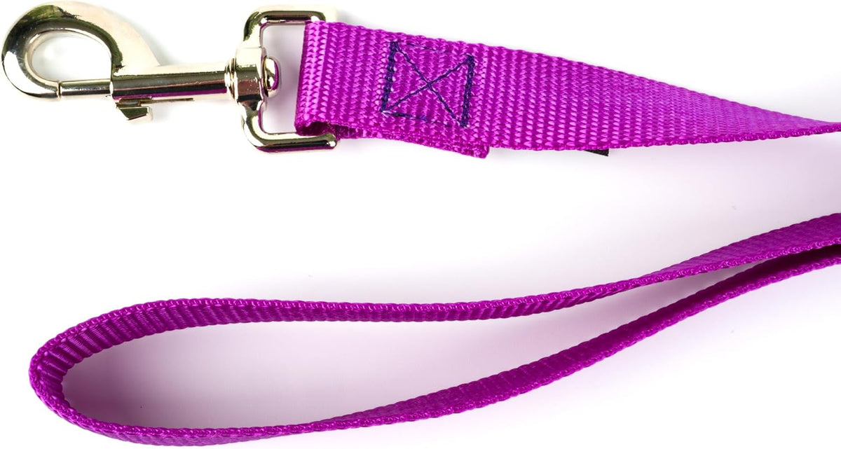 Country Brook Petz, Everyday Nylon Dog Leash - Bright Purple / 6 Foot X 1 Inch Wide (Pack of 1) - image 4