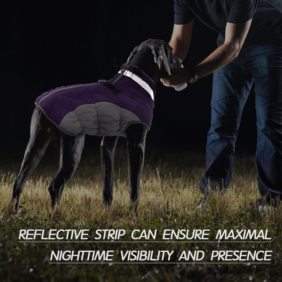 Dog Cold Weather Coats Reflective Dog Warm Jacket with Harness – Essentials for Dogs - Purple / M(chest:21in) - image 4