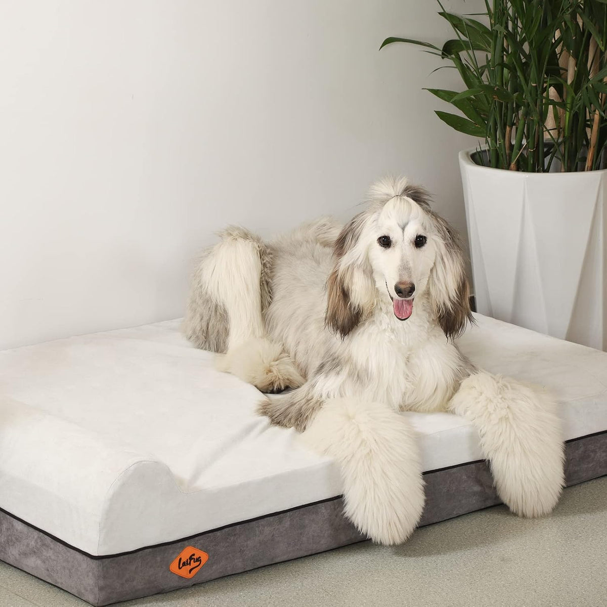 Laifug Orthopedic Memory Foam Extra Large Dog Bed Pillow Durable - 50.0"L x 36.0"W x 10.0"Th / Dark Grey - image 2
