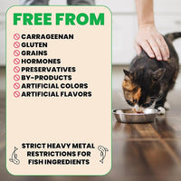 Almo Nature: HQS Natural Cat Pack 2 - (12) 2.47oz Can, Adult Cat Wet Canned Food - 3 Each: Atlantic Tuna, Mackerel, Trout & Tuna, Chicken & Shrimp