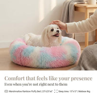 Small Calming Dogs Bed for Small Dogs Anti-Anxiety Machine Washable - Rainbow / 23 inches - image 2