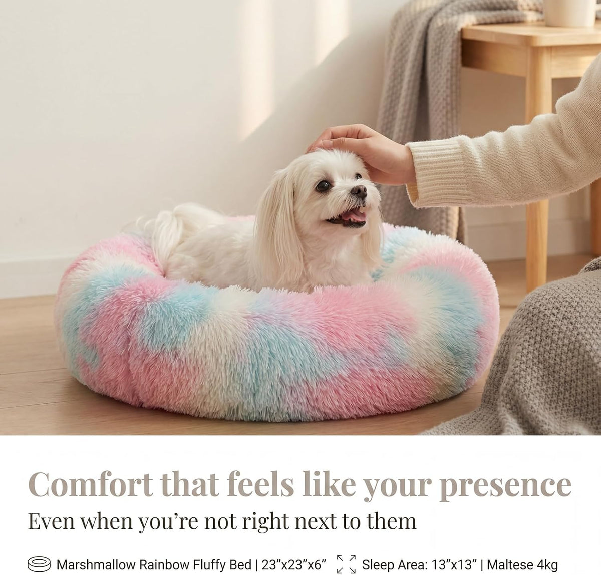 Small Calming Dogs Bed for Small Dogs Anti-Anxiety Machine Washable - Rainbow / 23 inches - image 2