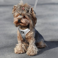 Fida Cat Harness and Leash Set for Walking Kitten and Puppy - XXXS (Neck:10.2"-11.4"; Girth:11.4"-12.6") / Light Gray - image 3