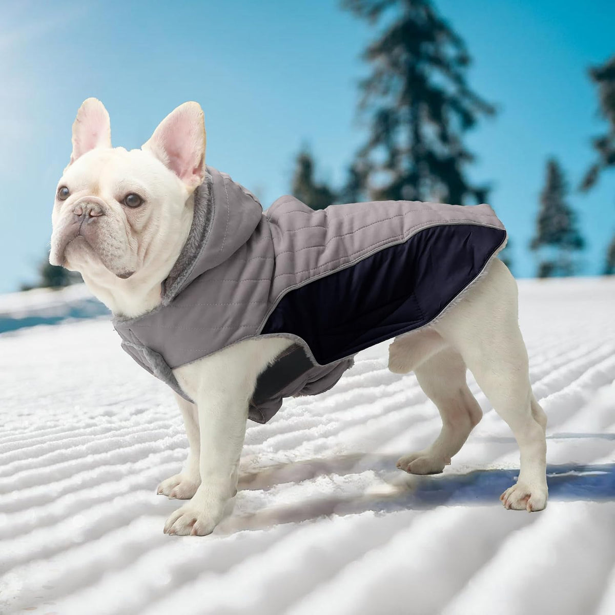 Warm Fleece Dog Hoodie for Small Dogs, Winter Puppy Coats - Grey / XXX-Large - image 4