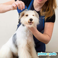 PrimePets Flea Comb for Cat Dog, Pet Hair Removal Comb