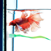 WILLBOND 2 Pcs Blue Pink Silicone Betta Fish Bed Leaf Hammock Betta - Green - image 4