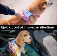 PHOEPET Upgraded No Pull Dog Harness, Reflective Adjustable Vest – Essentials for Dogs - Baby Blue Base & Pink Straps / Small - image 2
