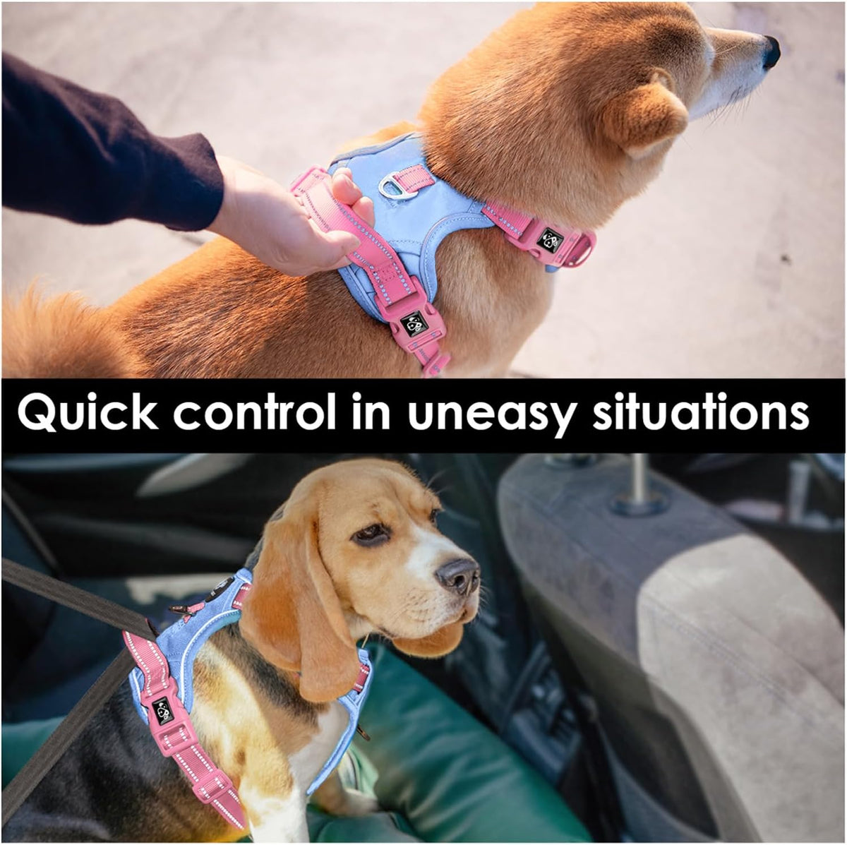 PHOEPET Upgraded No Pull Dog Harness, Reflective Adjustable Vest – Essentials for Dogs - Baby Blue Base & Pink Straps / Small - image 2