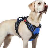 rabbitgoo Dog Harness for Large - Blue / Large