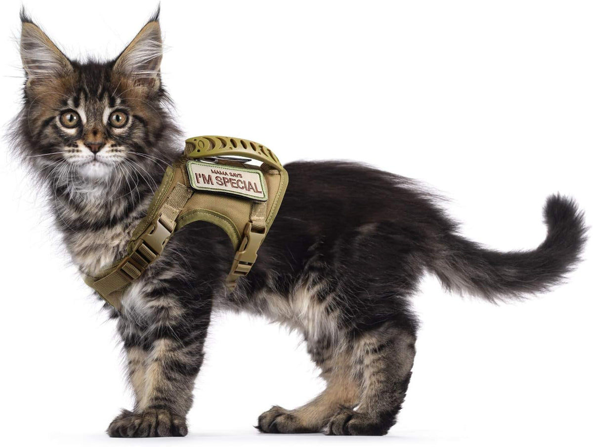 Tactical Cat Harness for Walking Escape Proof - Large / Khaki
