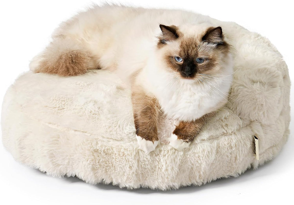 EHEYCIGA Soft Cat Couch Bed for Indoor Cats - 24"L x 24"W x 7"Th / Cream