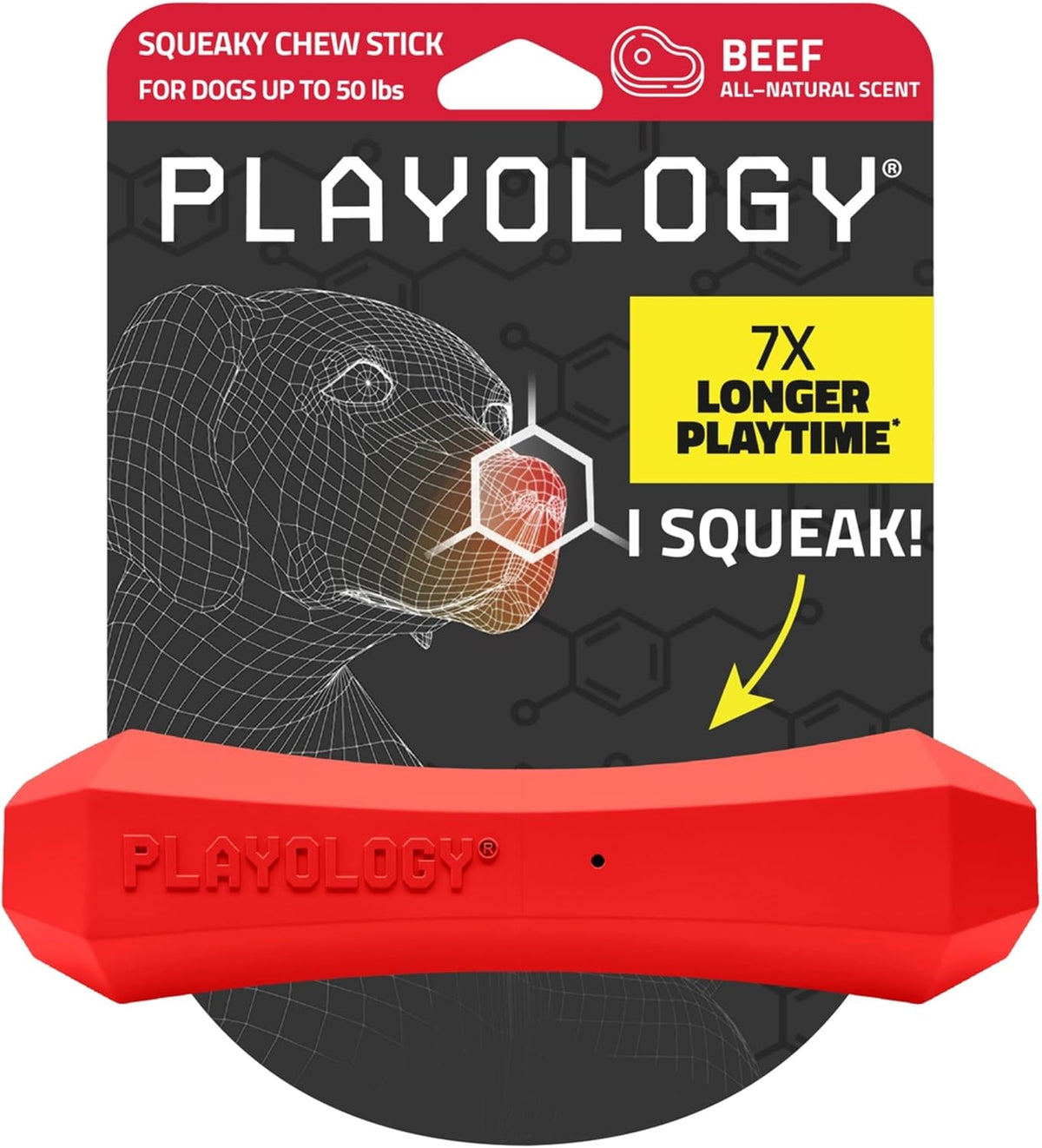 Playology Squeaky Chew Stick Scented Dog Toy - Medium / Beef