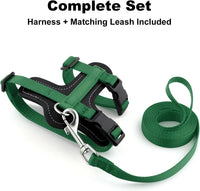Plutus Pet Adjustable Cat Harness and Leash Set - Green - image 2