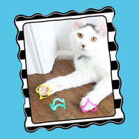 Petmate Interactive Cat Toys, Cat Crazies Multi Pack by Petmate - 4 Count - image 3