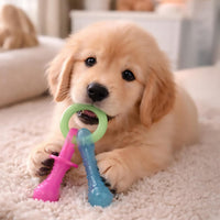 Nylabone Puppy Pacifier Chew Toy - Pacifier / Small - image 2