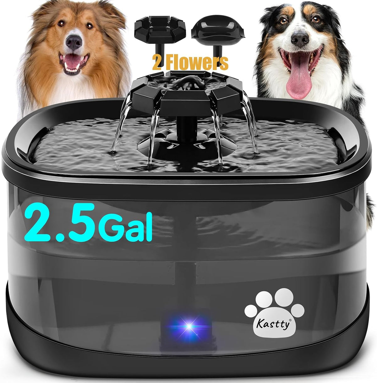 Kastty 2.5Gal/9.5L Dog Water Fountain Extra Large Pet Water Fountain - Black