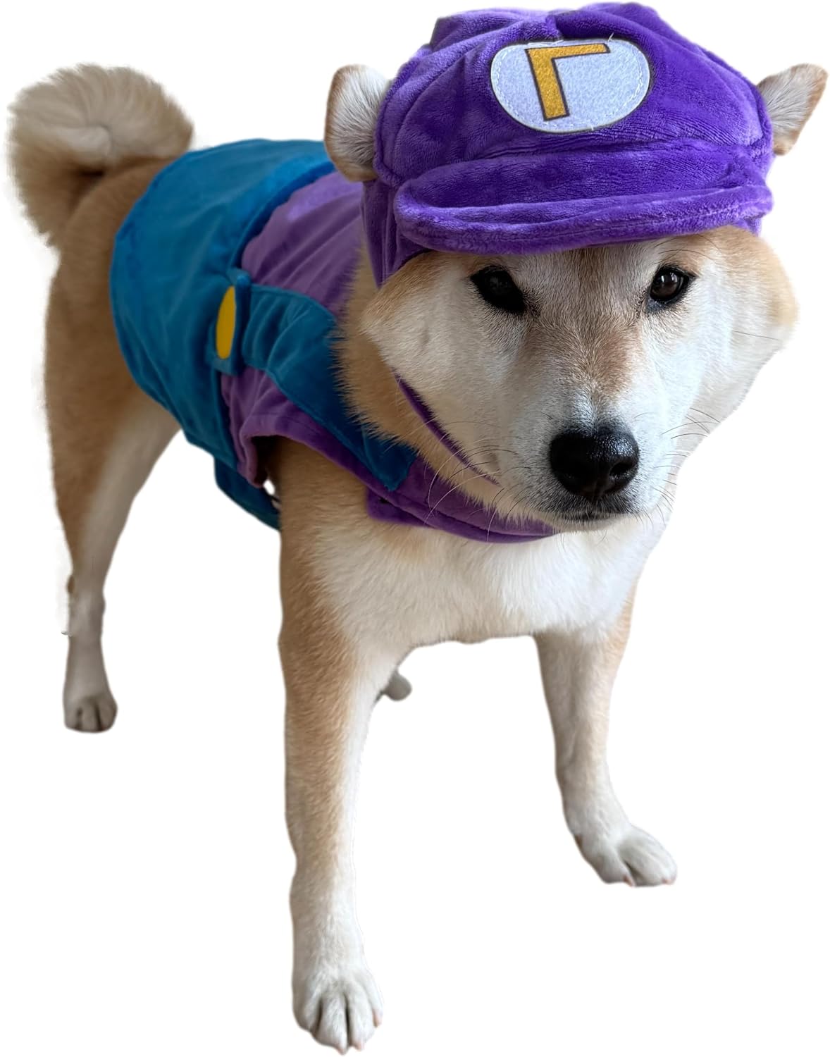 ComfyCamper Hat and Suspenders Dog Costume - Medium / Purple and Blue - image 3
