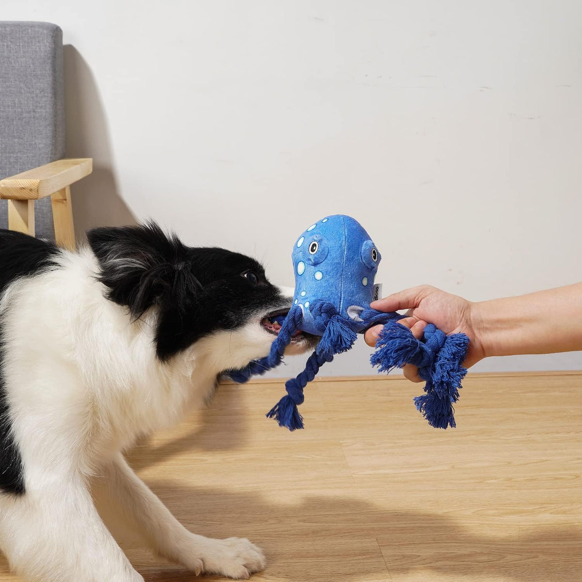 Dog Toy, Large Dog Squeaky Toys - Octopus - image 4