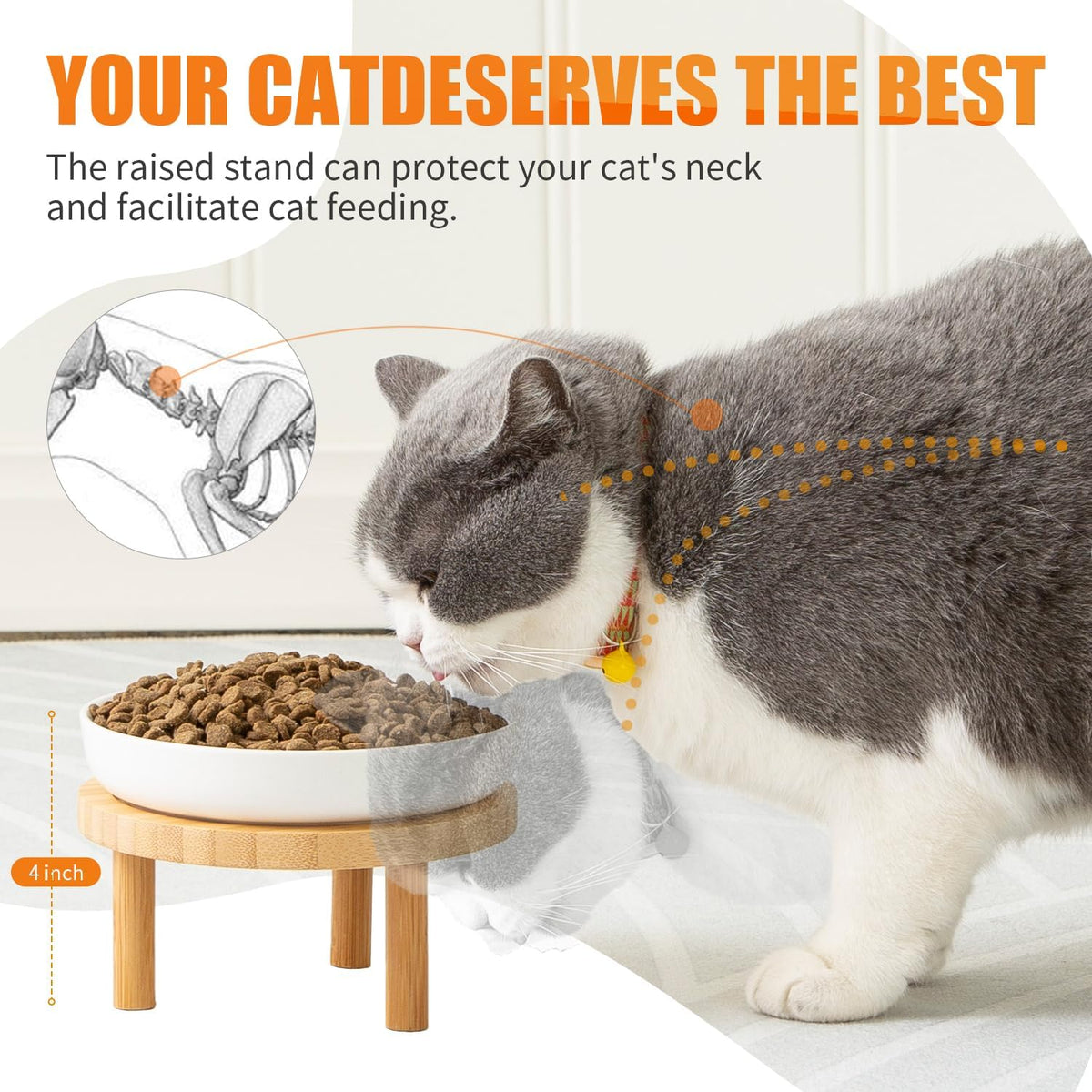Shallow Wide Elevated Cat Bowls Whisker Fatigue – Essentials for Cats - White / Plate with stand(set of 2) - image 3