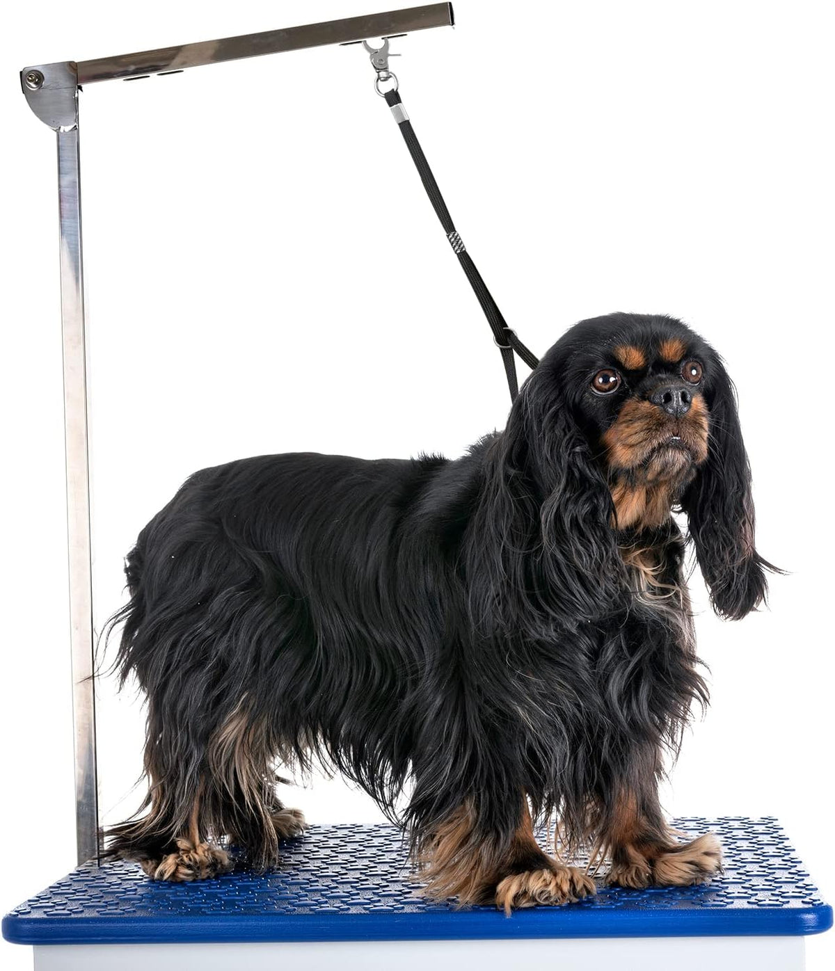 Pet Dog Grooming Loop Adjustable Grooming Noose Sling for Grooming - green+orange 6 PACK - image 3