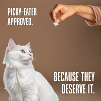 Whole Life Cat Just One Turkey Freeze Dried Cat Treats - Human Grade High Protein Food, Healthy Training Snacks, Freeze Dried Turkey Food Toppers, USA Made Natural Treats - 2.5 oz (Pack of 1)