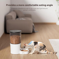 Automatic Cat Feeders, 5L Large Capacity, Timed Feeding Dry Food, Dual Power Design, Programmable Portion Size, 1-6 Meals Per Day, with Desiccant Packet, Suitable for Small Pets Food Dispenser