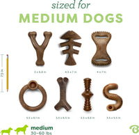 Benebone Medium 4-Pack Dog Toys for Aggressive Chewers - Medium / 7 Pack - image 4