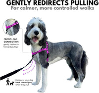 ShawnCo Dream Walk Pro No-Pull Dog Harness – Essentials for Dogs - Large / Orchid - image 2