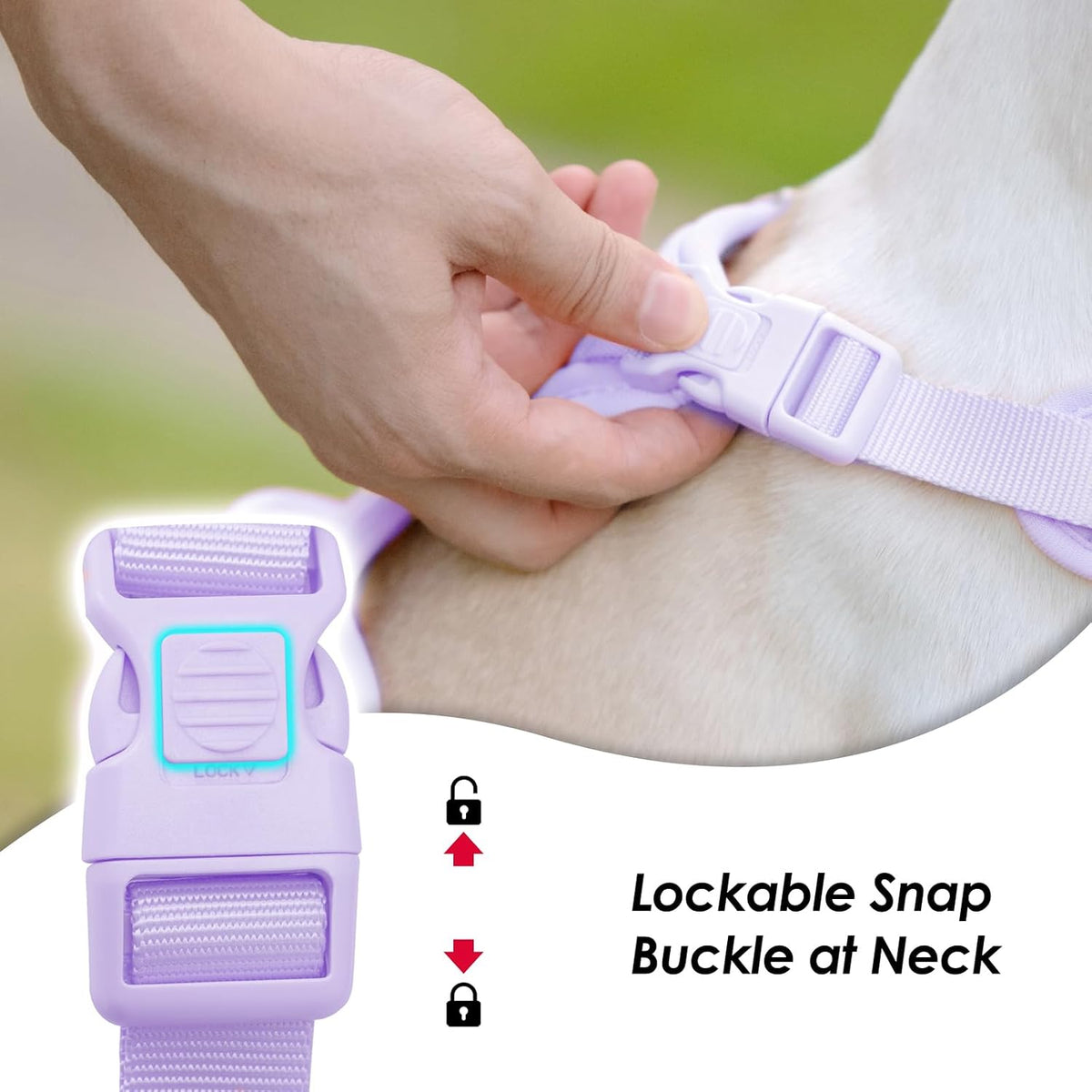 Sunraymascota No Pull Dog Harness for Medium Sized Dogs Puppy Vest - Light Purple / XS(Neck:11.8-16.5", Chest:14.2-19.7") - image 2