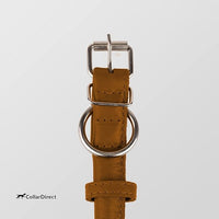 CollarDirect Rolled Leather Dog Collar, Soft Padded Round Puppy Collar, Handmade Genuine Leather Collar Dog Small Large Cat Collars 13 Colors (11-14 Inch, Cinnamon Textured)