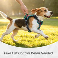 PHOEPET Upgraded No Pull Dog Harness, Reflective Adjustable Vest – Essentials for Dogs - Red / Medium - image 4