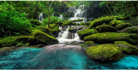 48x18 in Waterfall Terrarium Backdrop Moss Lake Reptile Habitat - 24x12in/60x30cm
