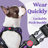 rabbitgoo Dog Harness Medium Sized, No Pull Pet Harness with 3 Buckles, Adjustable Soft Padded Vest with Control Handle, Walking Reflective Pet Vest for Medium Dogs, Purple, M