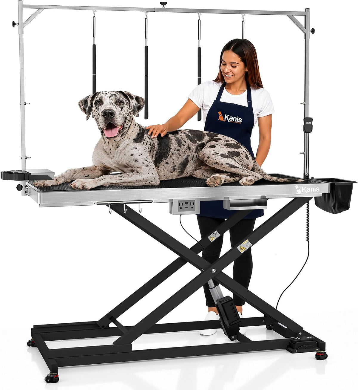 Professional Electric Dog Grooming Table, Heavy Duty - BLACK / 60"