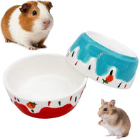 2 Pack Ceramic Guinea Pig Food Bowl Hamster Food Bowls for Gerbil Rat – Essentials for Small Pets - Red + Blue