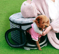 Foldable Pet Dog Cat Puppy Handbag Carrier Cage - BIG FRENCHIES