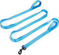 10FT Dog Leash with Traffic Handle Reflective Large Medium Dogs – Essentials for Dogs - 10ft x 1 in / blue