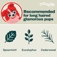 Pets - Revitalizing 2-1 Shampoudle, 16oz, Moisturizing and Gentle All Natural pet Shampoo with Spearmint, Cedarwood, Eucalyptus, and Oatmeal