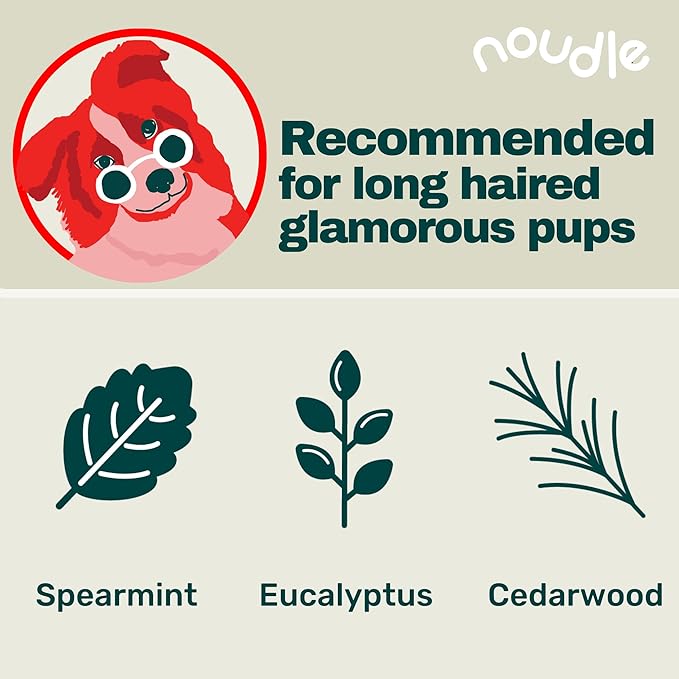 Pets - Revitalizing 2-1 Shampoudle, 16oz, Moisturizing and Gentle All Natural pet Shampoo with Spearmint, Cedarwood, Eucalyptus, and Oatmeal