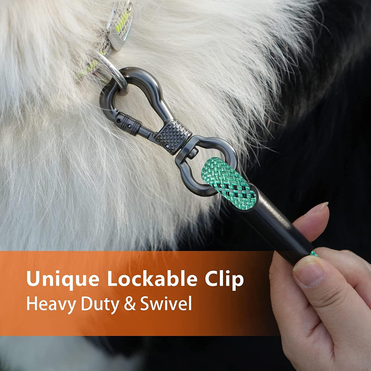 30 FT Dog Leash, Obedience Recall Training Agility Lead - 50ft*3/8" / Teal - image 2