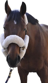 ECP Equine Comfort Products Merino Sheepskin Halter Fleece Set for Horses, 100% Natural Wool, Chafe Protection, Breathable Relief & Cushioned Comfort, Machine Washable, 9-Piece Set, White