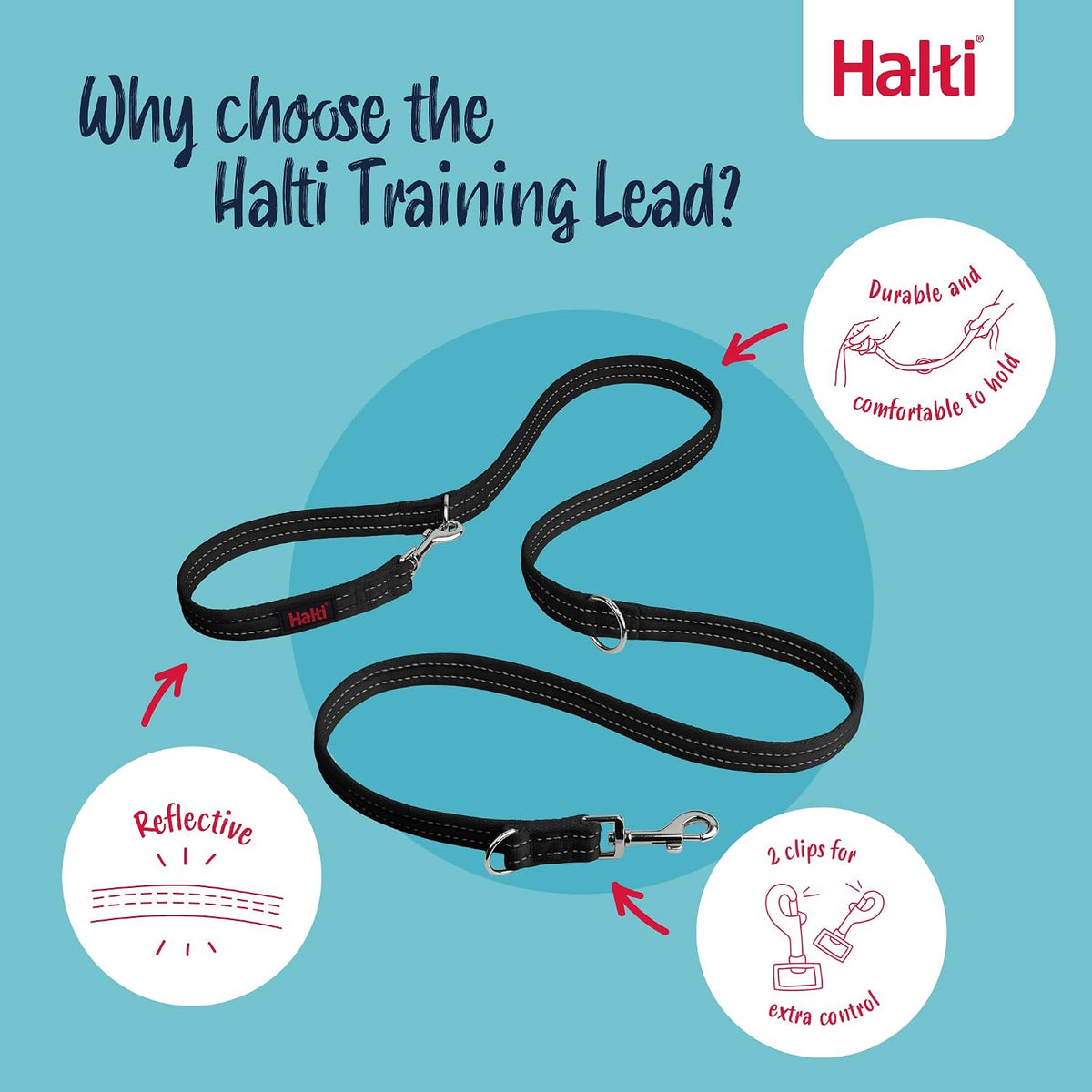Halti Headcollar & Training Leash Bundle – Essentials for Dogs - Size 5 Head Collar - image 2