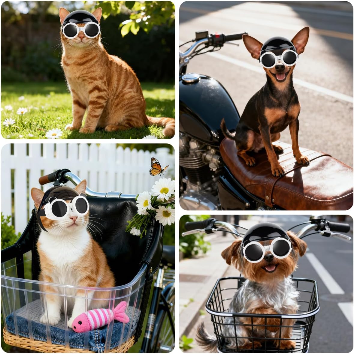 Dog Helmet and Goggles for Small Dogs - X-Small-(Black+White) - image 2