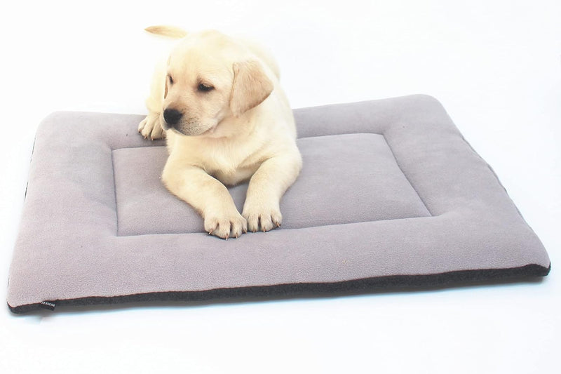 Dog Bed Mat 24x18, Washable Flat Pet Bed - 24x18" / Silver