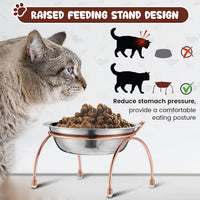 6 Sets Elevated Cat Bowls Stainless Steel, 5.5" Wide with Stand – Essentials for Cats - image 3