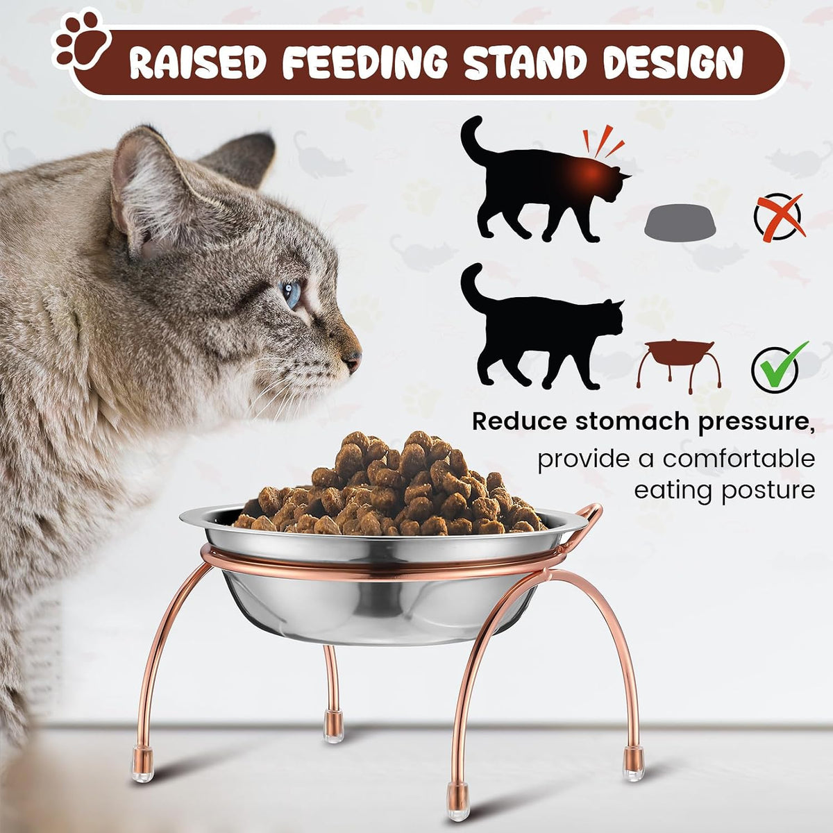 6 Sets Elevated Cat Bowls Stainless Steel, 5.5" Wide with Stand – Essentials for Cats - image 3