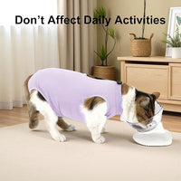 Cat Recovery Suit, Surgical Recovery Clothes for Abdominal Wound or Skin Disease, Cats Onesie After Surgery and Spay, E-Collar Alternative Pajama Suit (Purple, Small)