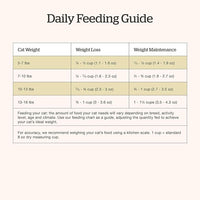 Now Fresh Grain-Free Dry Cat Food with Turkey, Salmon & Duck, Healthy Kibble for Adults Made with Real Meat & Fish, Chicken-Free, with Pumpkin & Probiotics for Sensitive Stomachs, 8 lb Bag